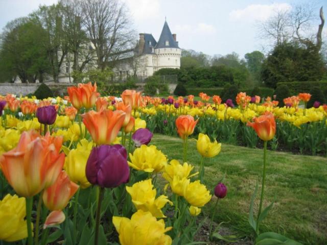Le Refuge De Normandie Avec Spa Et Cheminee Mesnieres-en-Bray エクステリア 写真